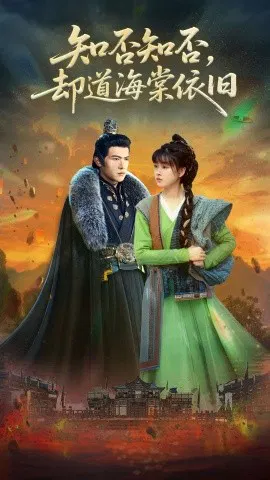 【短剧】知否知否，却道海棠依旧